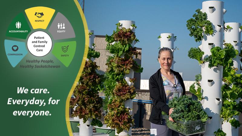 SHA staff harvesting from the rooftop garden at Royal University Hospital