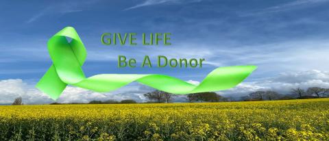 Donation Ribbon