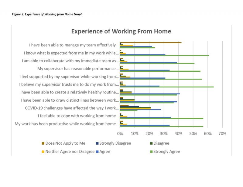 Experience of Working from Home