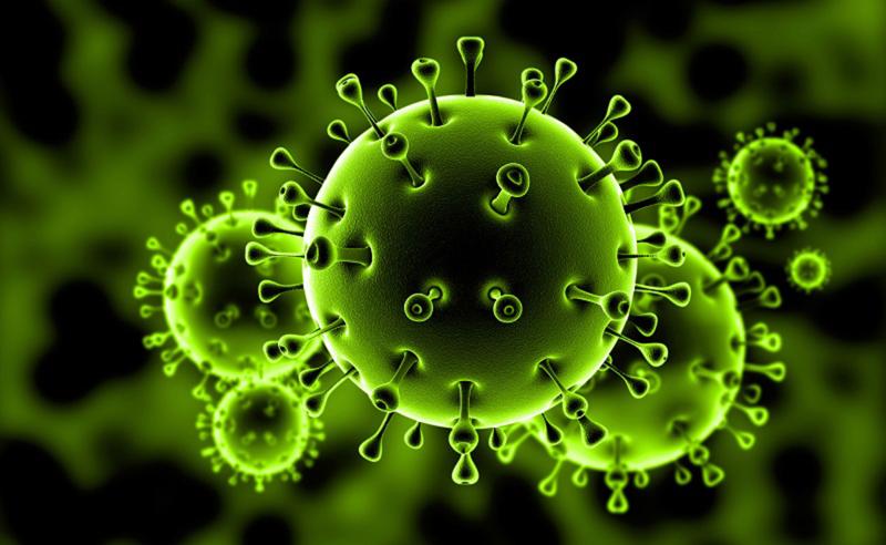 COVID-19 Molecular level