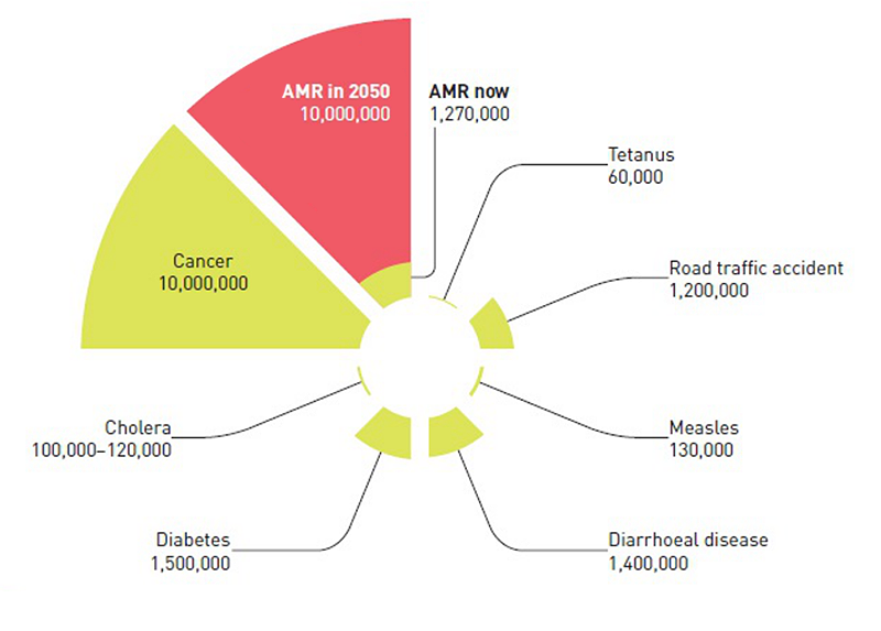 AMR-Related Deaths