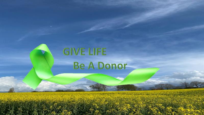 Donation Ribbon